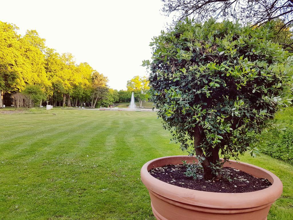 Hotel Garni Goldene Traube Bad Windsheim Dış mekan fotoğraf